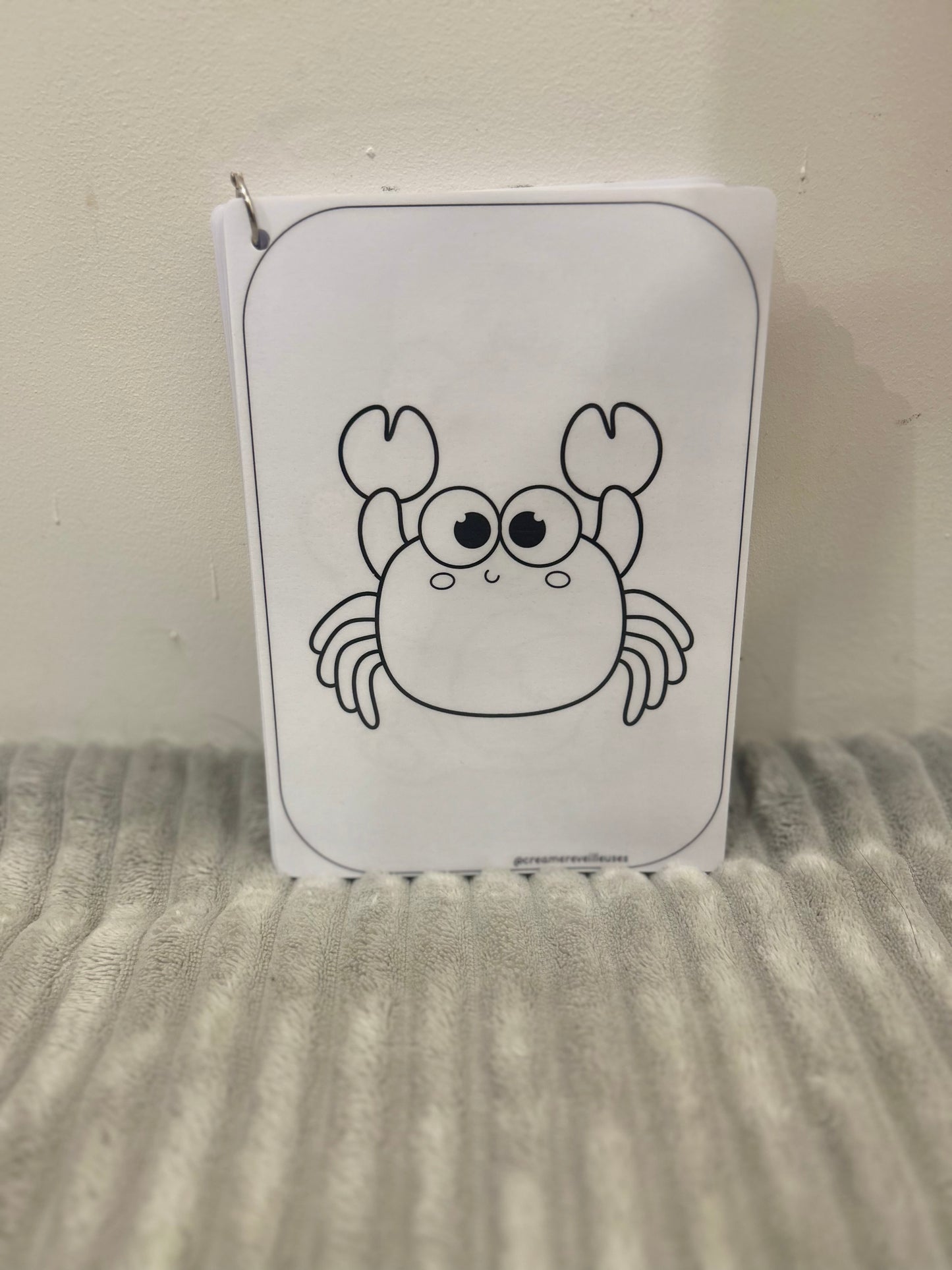 CARNET DE COLORIAGE RÉUTILISABLE