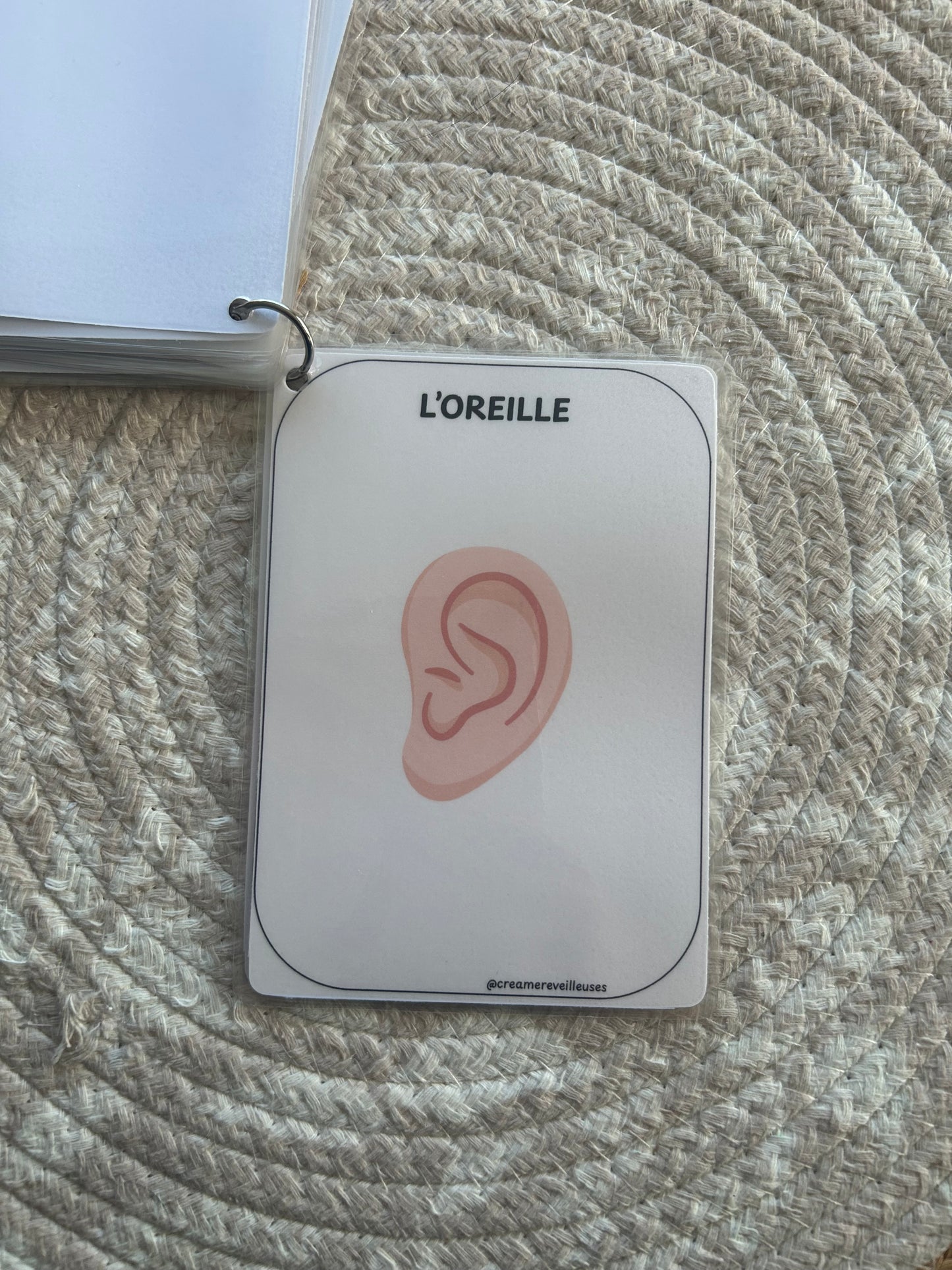 CARTES ÉDUCATIVES LES PARTIES DU CORPS