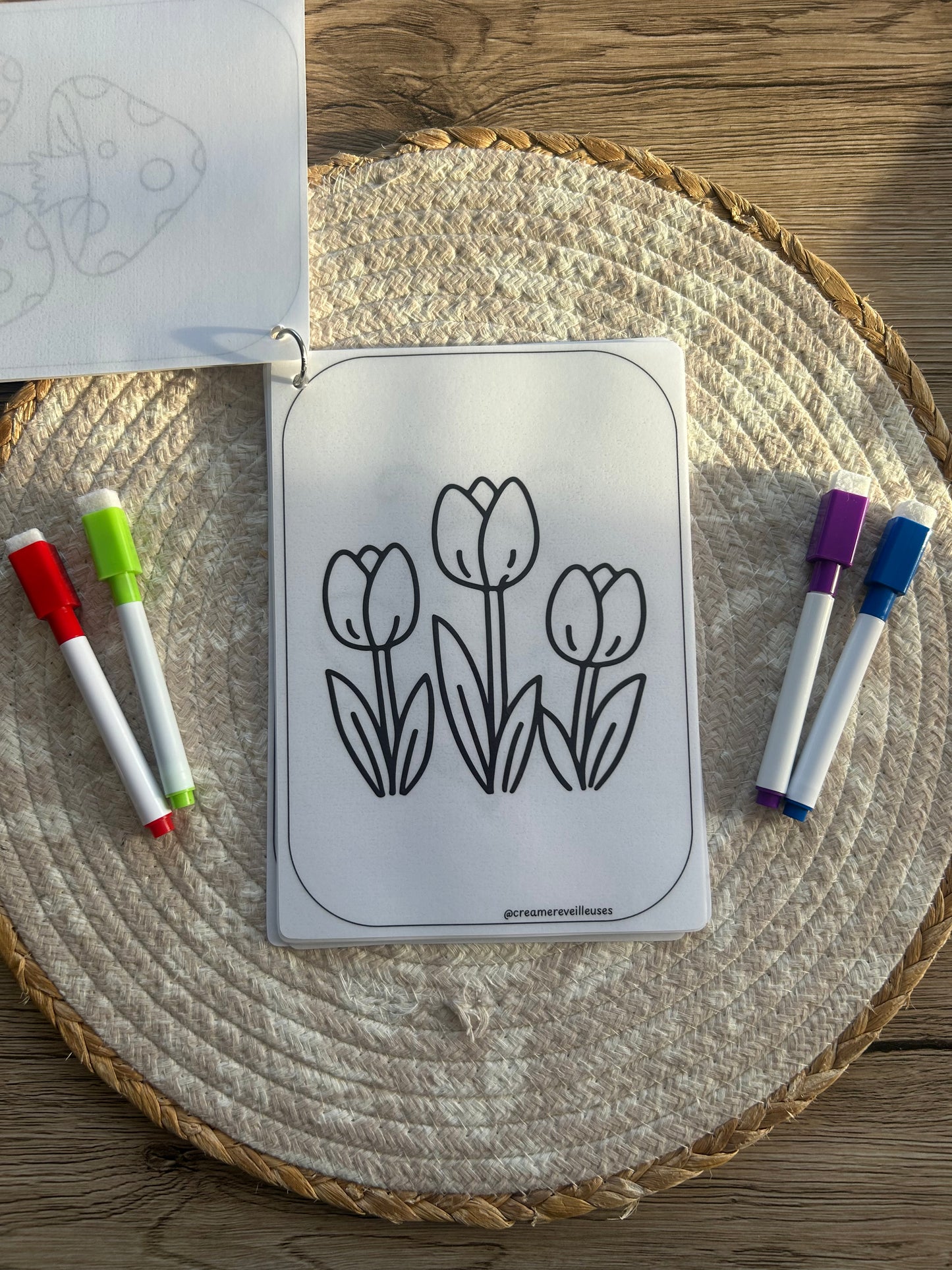 CARNET DE COLORIAGE RÉUTILISABLE LA NATURE