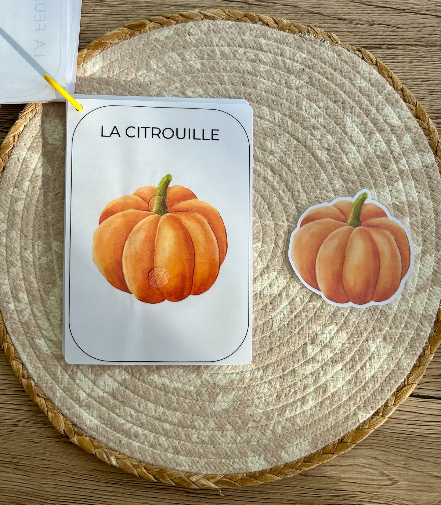CARNET AUTOMNE DÈS 12 MOIS