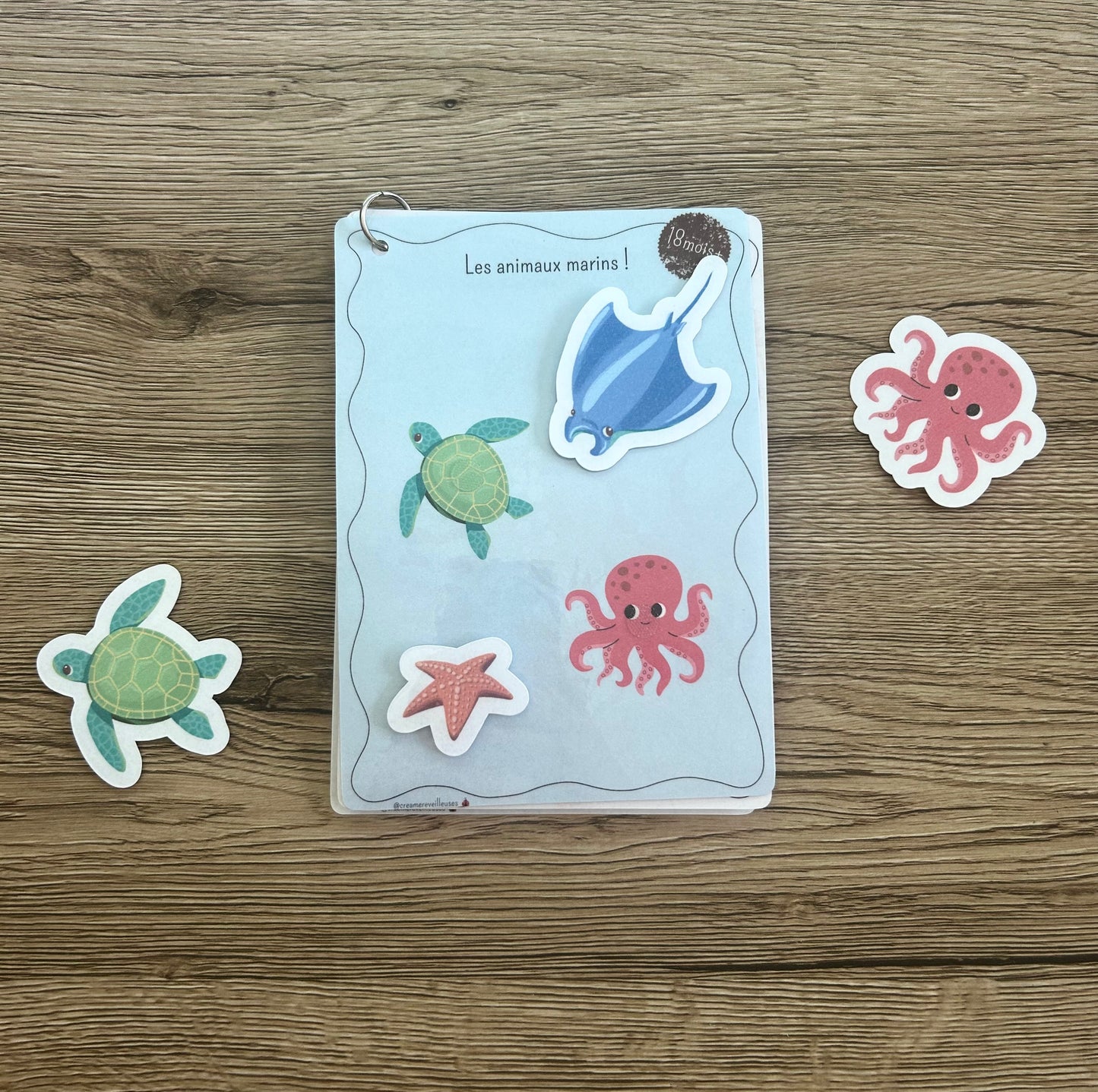 Mini Pack 18 mois et plus