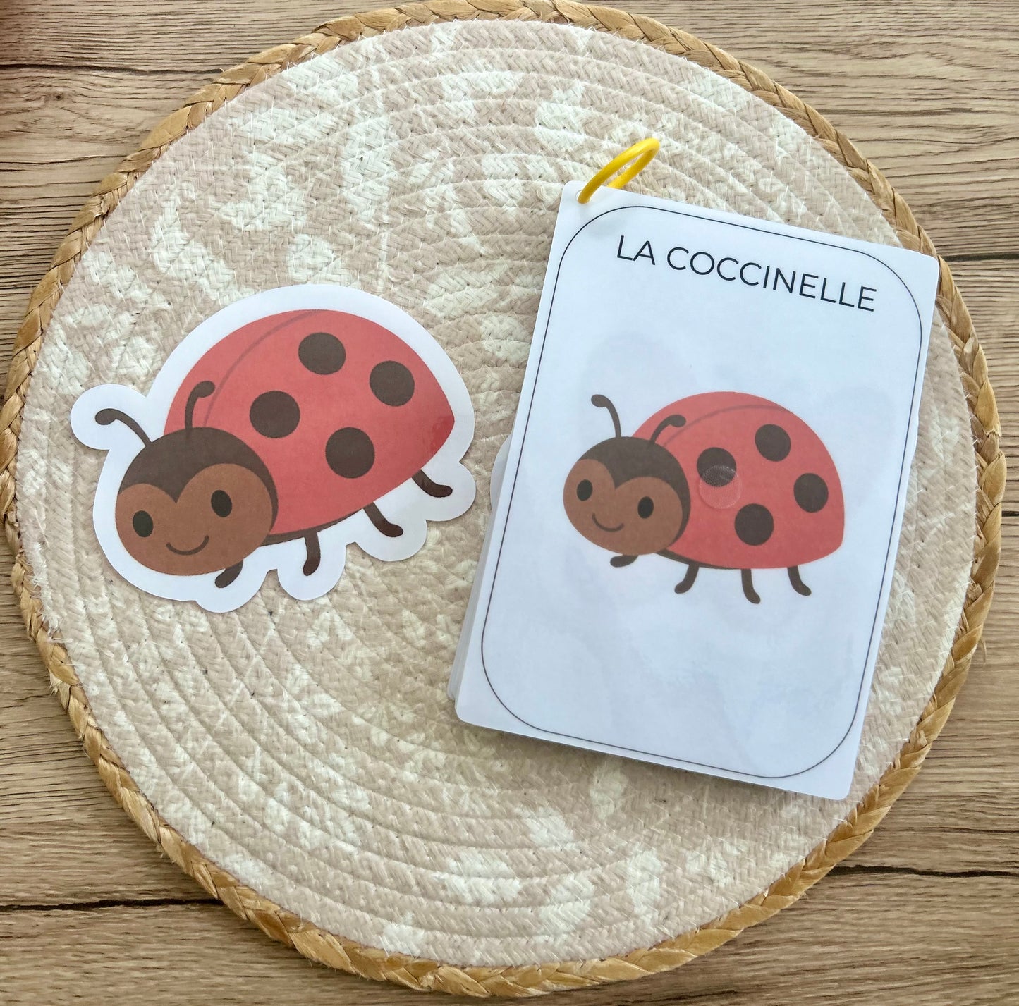 CARNET D’ACTIVITÉ 12 MOIS ANIMAUX