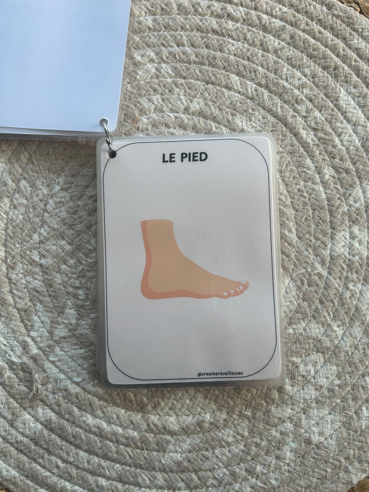 CARTES ÉDUCATIVES LES PARTIES DU CORPS