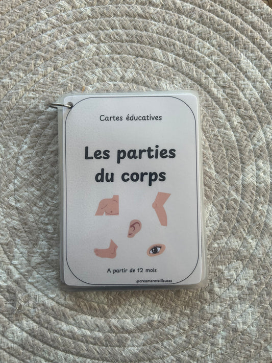 CARTES ÉDUCATIVES LES PARTIES DU CORPS