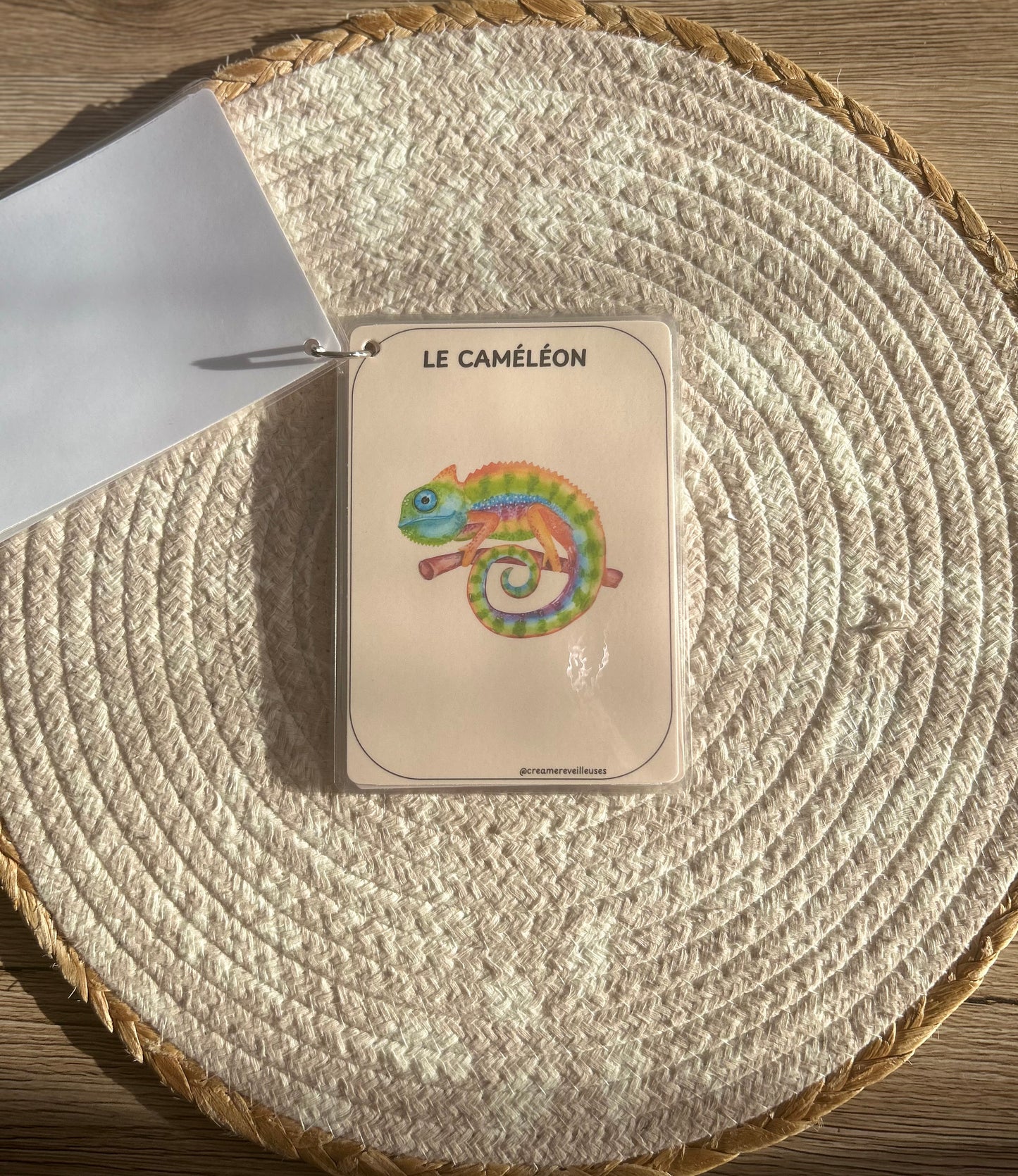 CARTES ÉDUCATIVES LES ANIMAUX DE LA JUNGLE