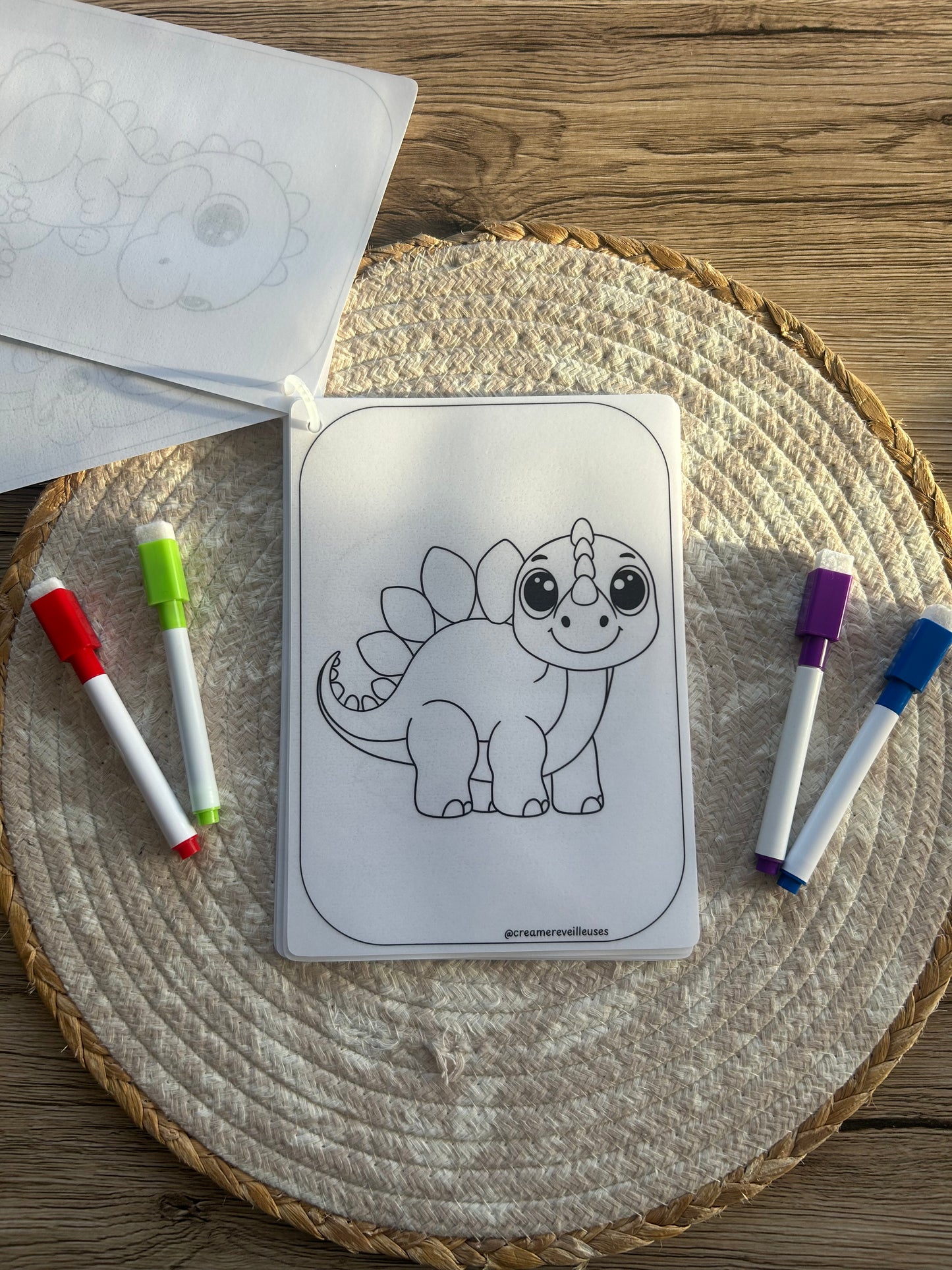 CARNET DE COLORIAGE RÉUTILISABLE DINOSAURES