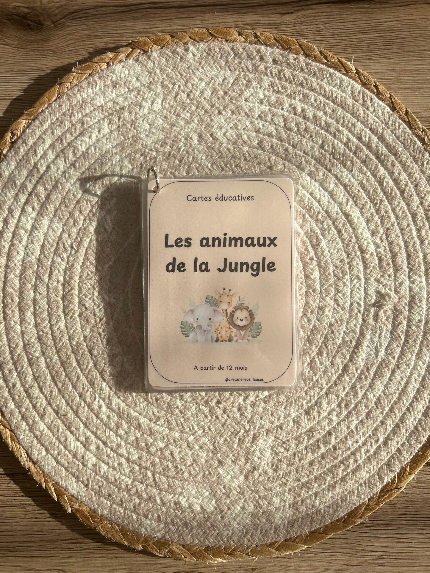 CARTES ÉDUCATIVES LES ANIMAUX DE LA JUNGLE