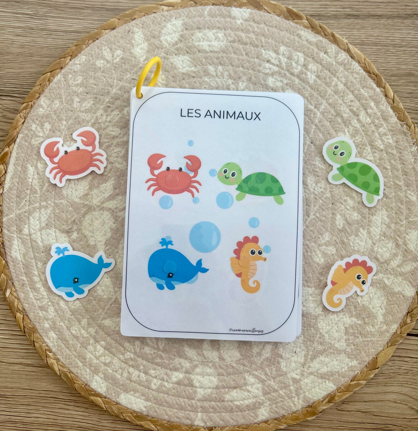 CARNET D’ACTIVITÉ 18 MOIS