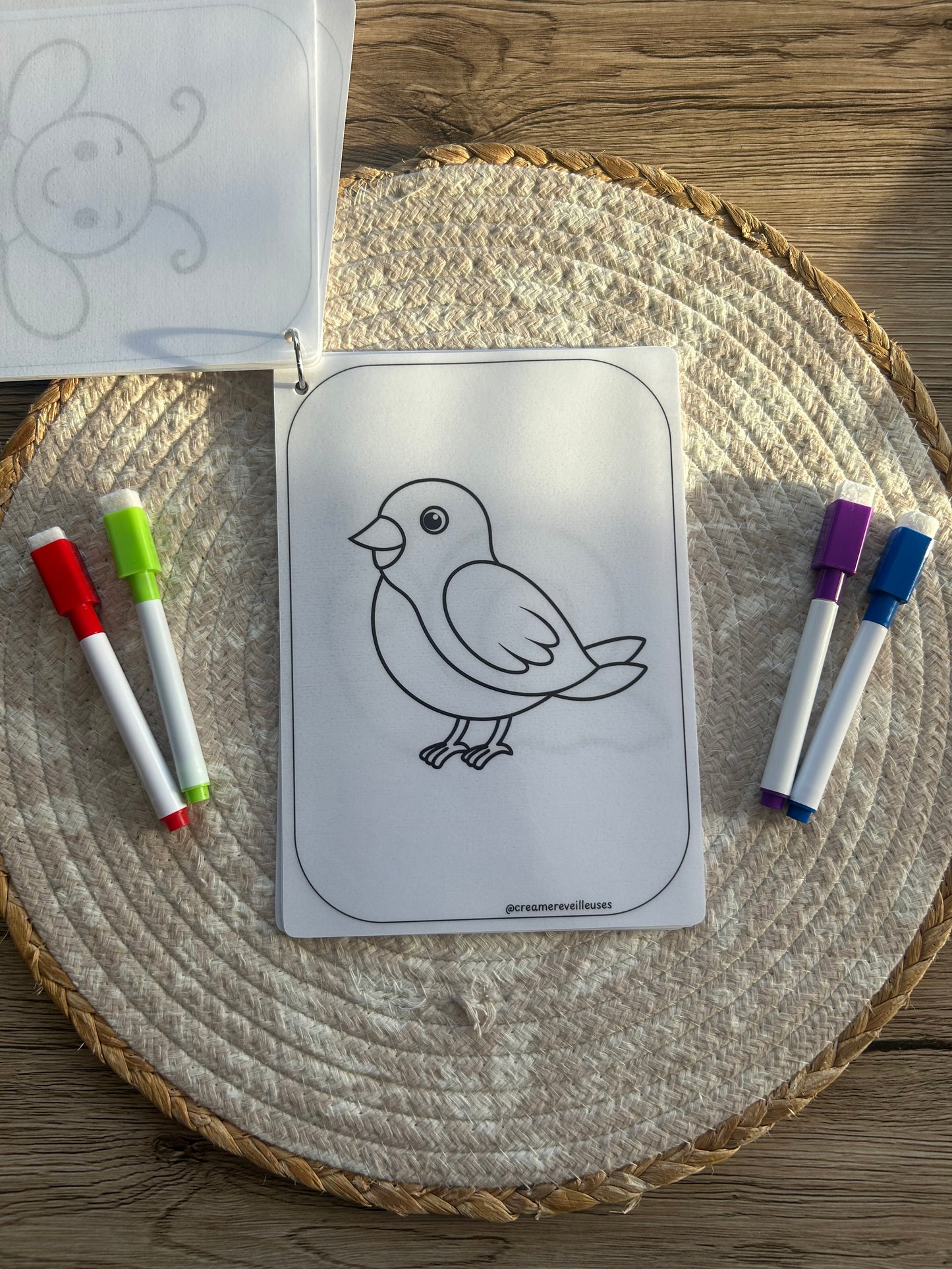 CARNET DE COLORIAGE RÉUTILISABLE LA NATURE
