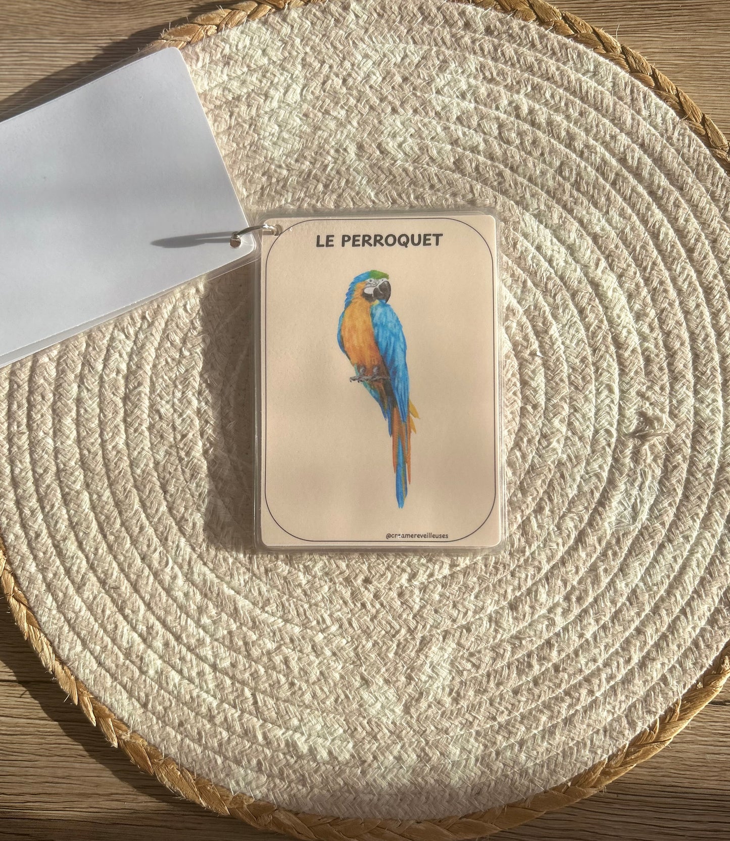 CARTES ÉDUCATIVES LES ANIMAUX DE LA JUNGLE