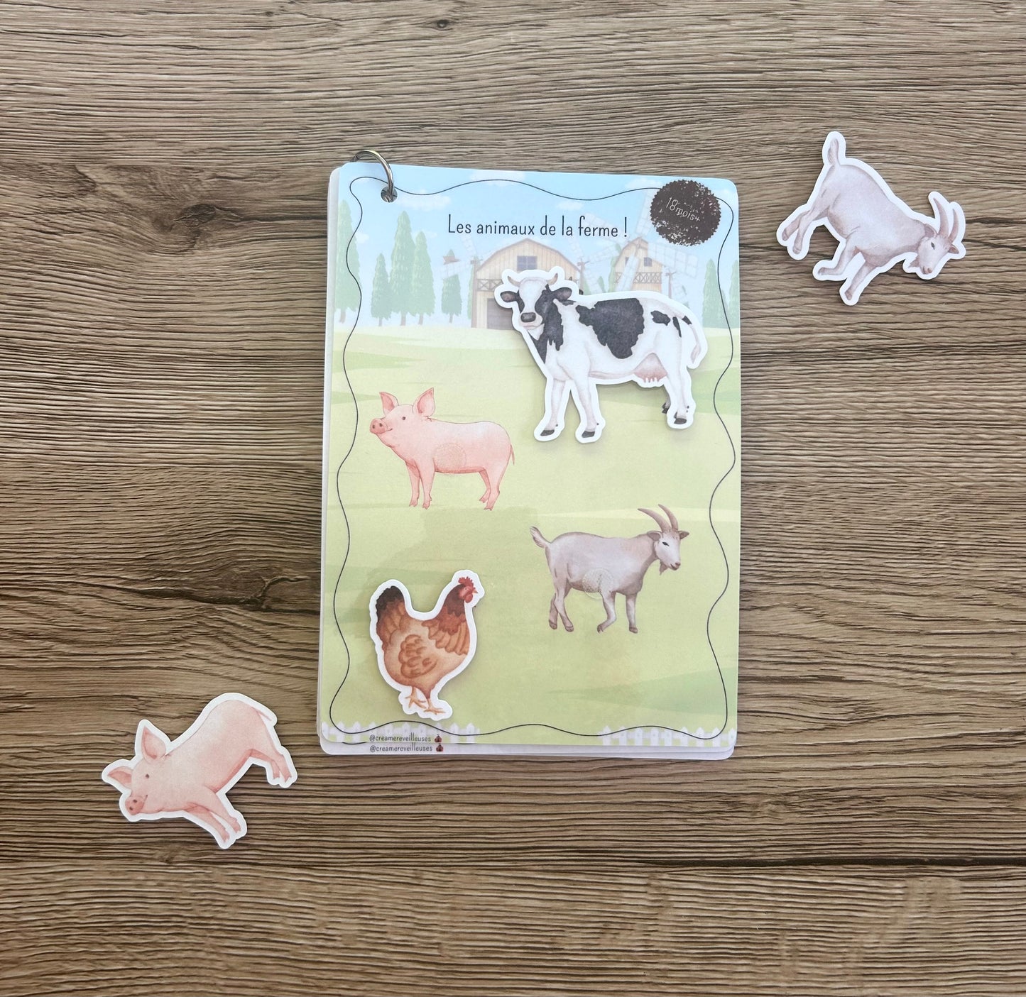 Mini Pack 18 mois et plus