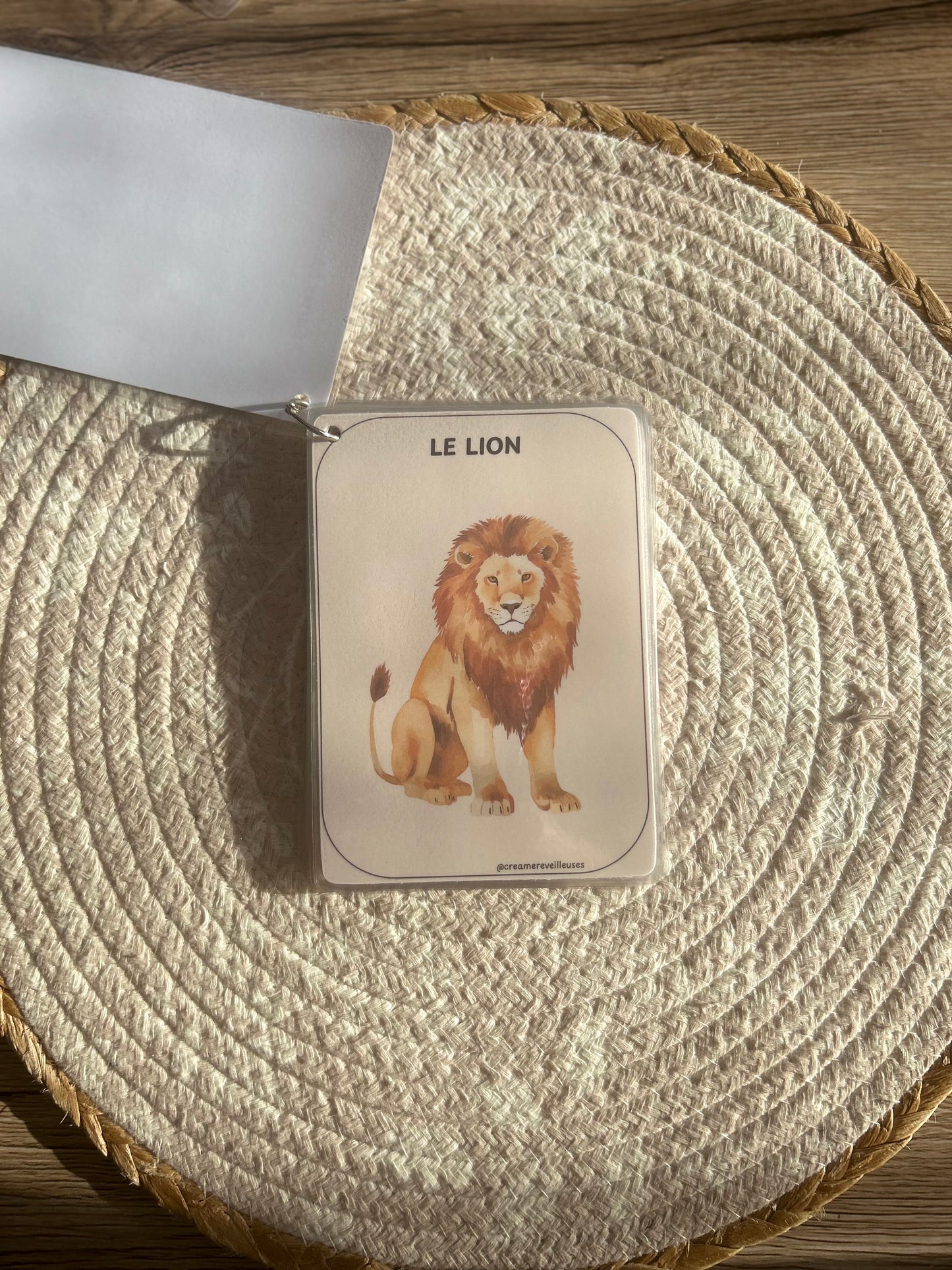 CARTES ÉDUCATIVES LES ANIMAUX DE LA SAVANE