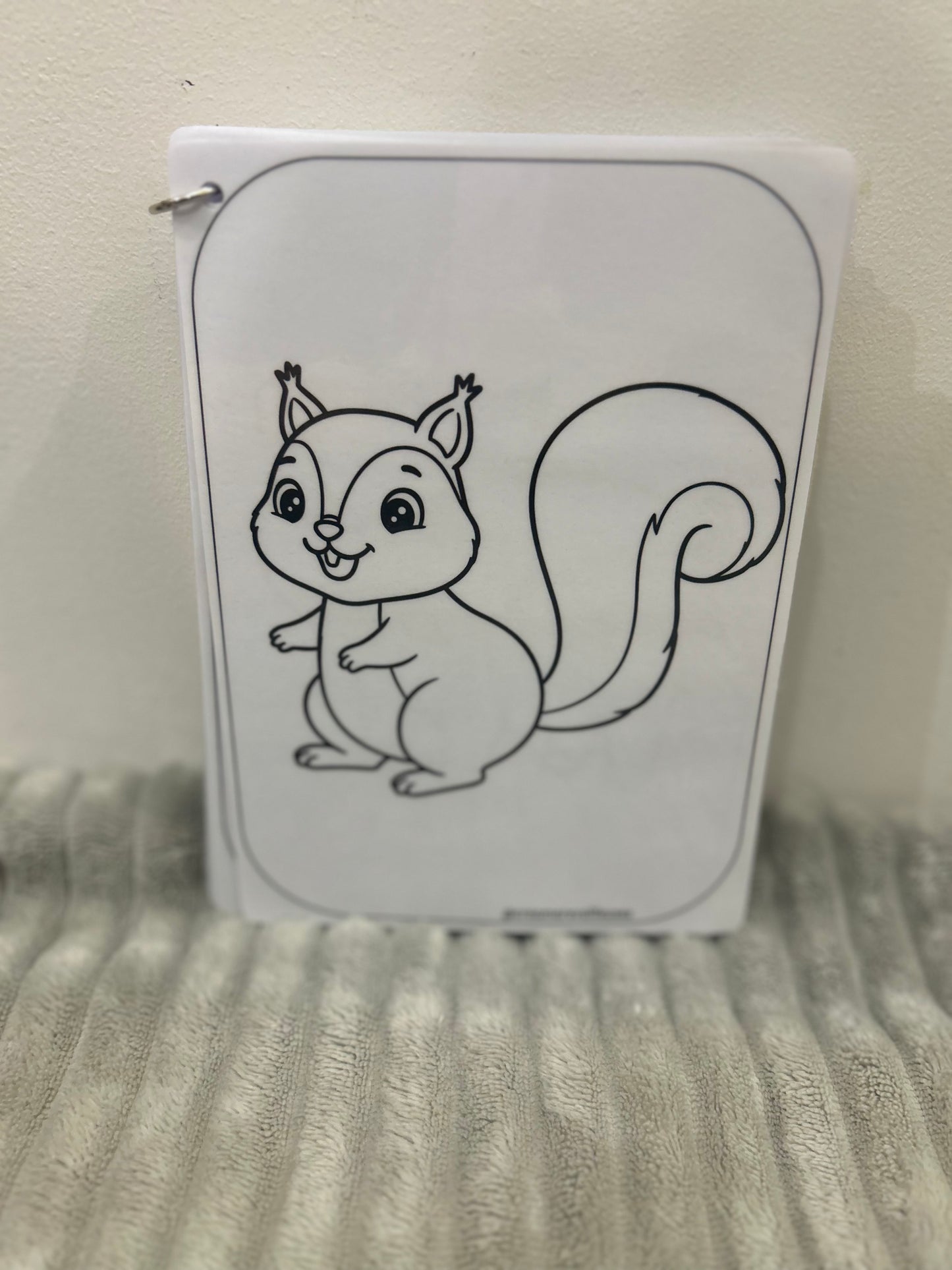 CARNET DE COLORIAGE RÉUTILISABLE