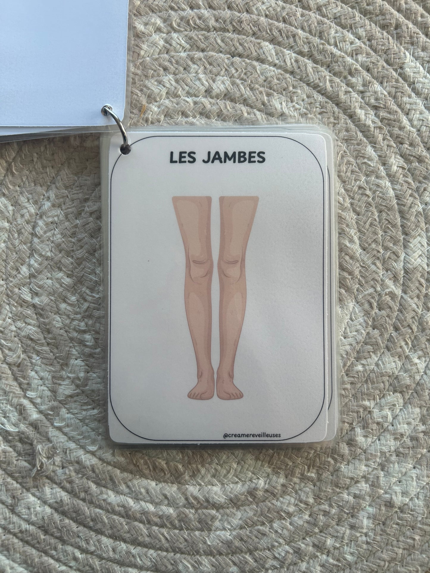 CARTES ÉDUCATIVES LES PARTIES DU CORPS