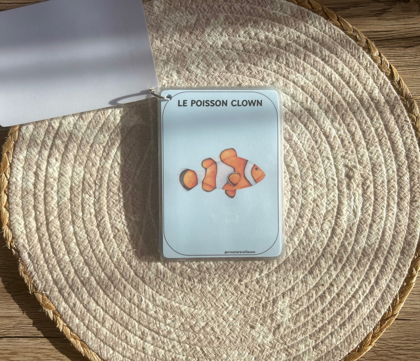 CARTES ÉDUCATIVES LES ANIMAUX DE LA MER