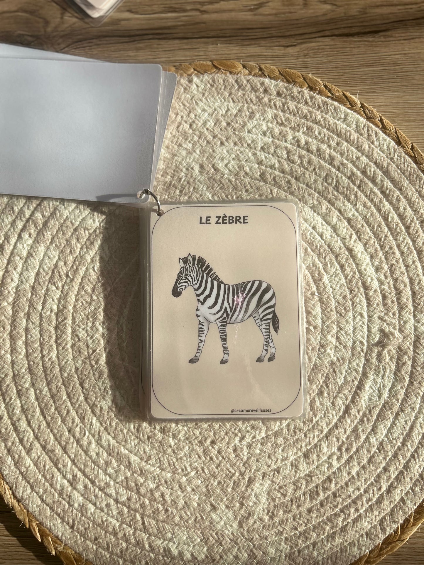 CARTES ÉDUCATIVES LES ANIMAUX DE LA SAVANE