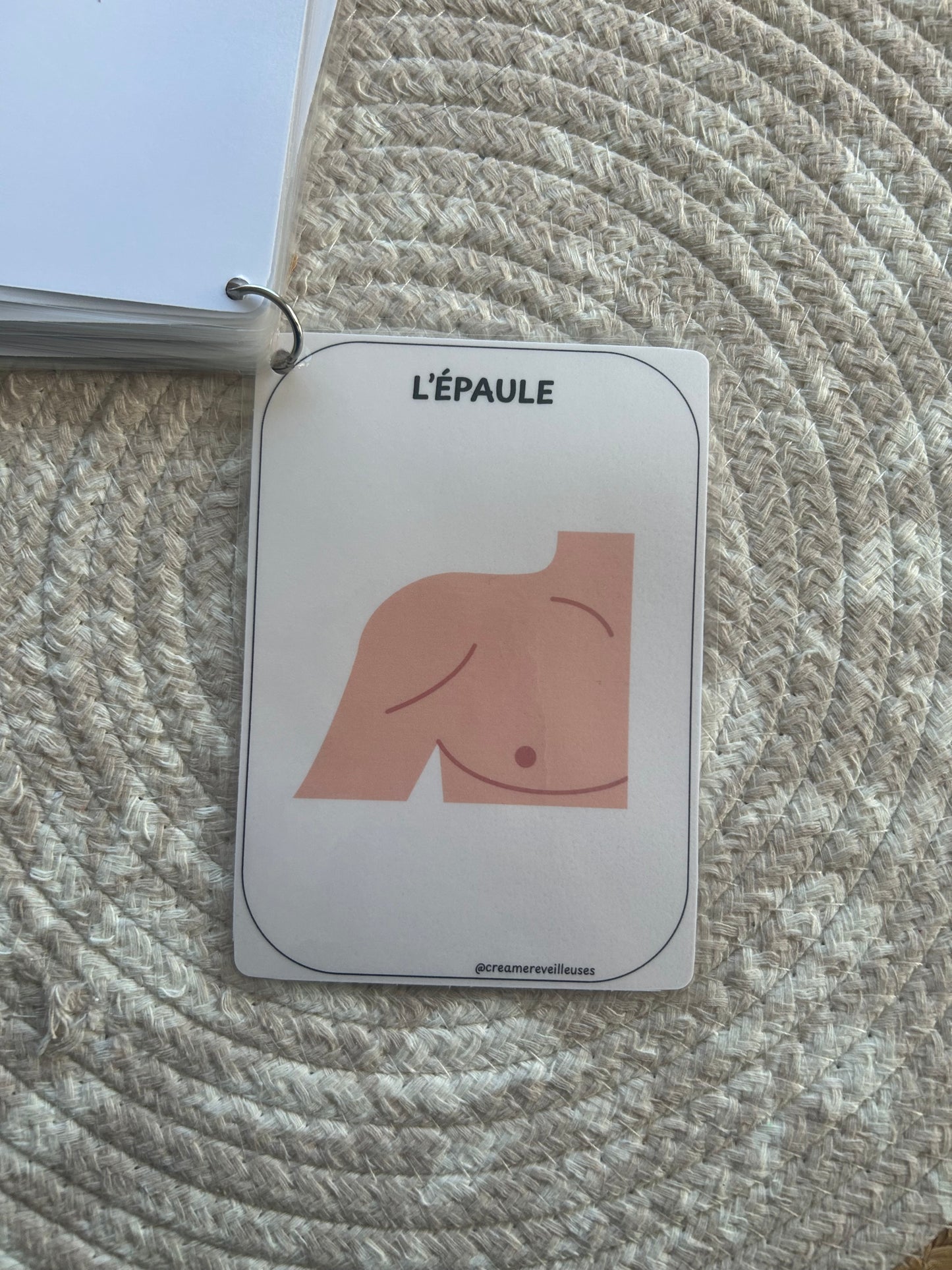 CARTES ÉDUCATIVES LES PARTIES DU CORPS