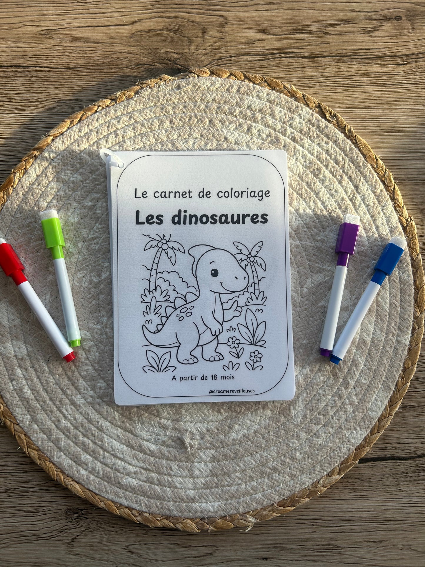 CARNET DE COLORIAGE RÉUTILISABLE DINOSAURES