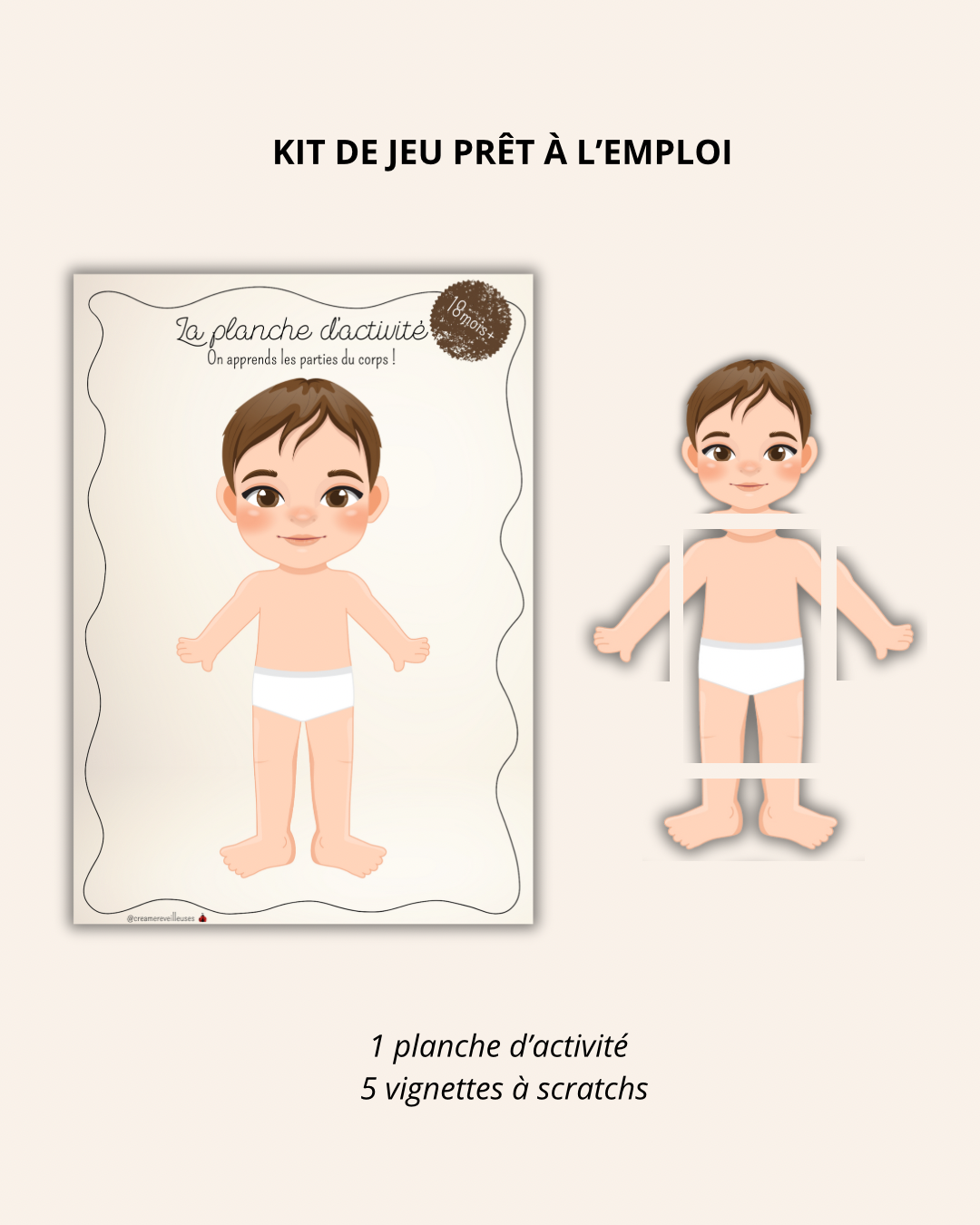 LES PARTIES DU CORPS